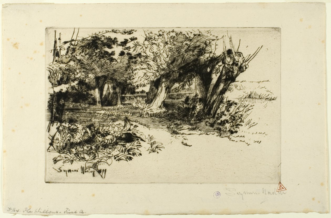 Vrby od Francis Seymour Haden