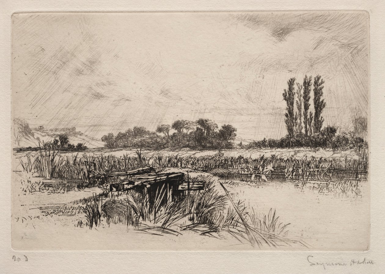 Vodní louka, 1859. od Francis Seymour Haden