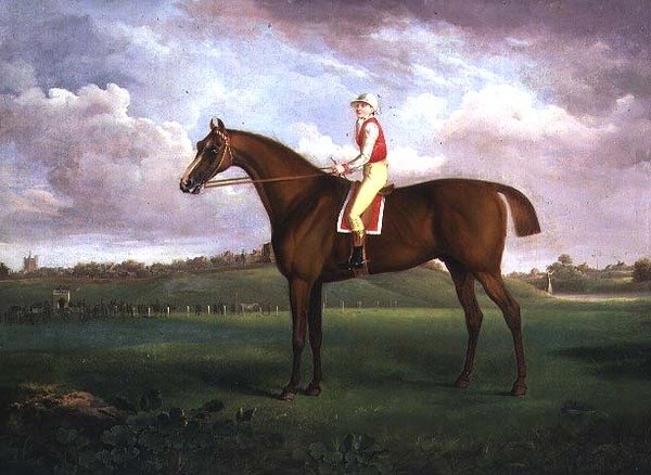 Žokej nahoru od Francis Towne