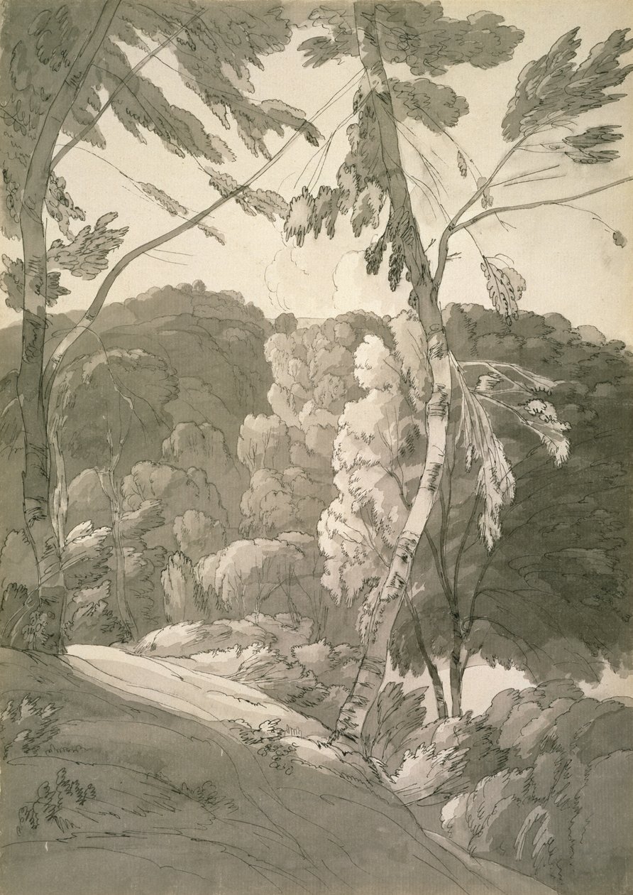 No.1091 A Wooded Landscape (Scene at Indinowle) 1783 (tužka, pero a inkoust s lazurou na papíře) od Francis Towne