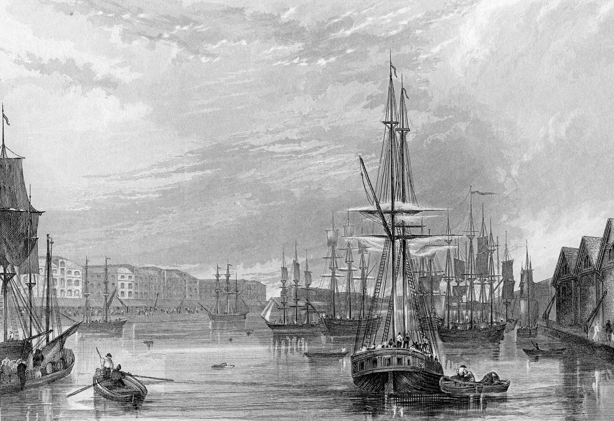 West India Dock, ilustrace z „History of London: Illustrated by views of London and Westminster“ od Johna Woodse, rytina Johna Woodse, vydání 1838 od Francis William Topham