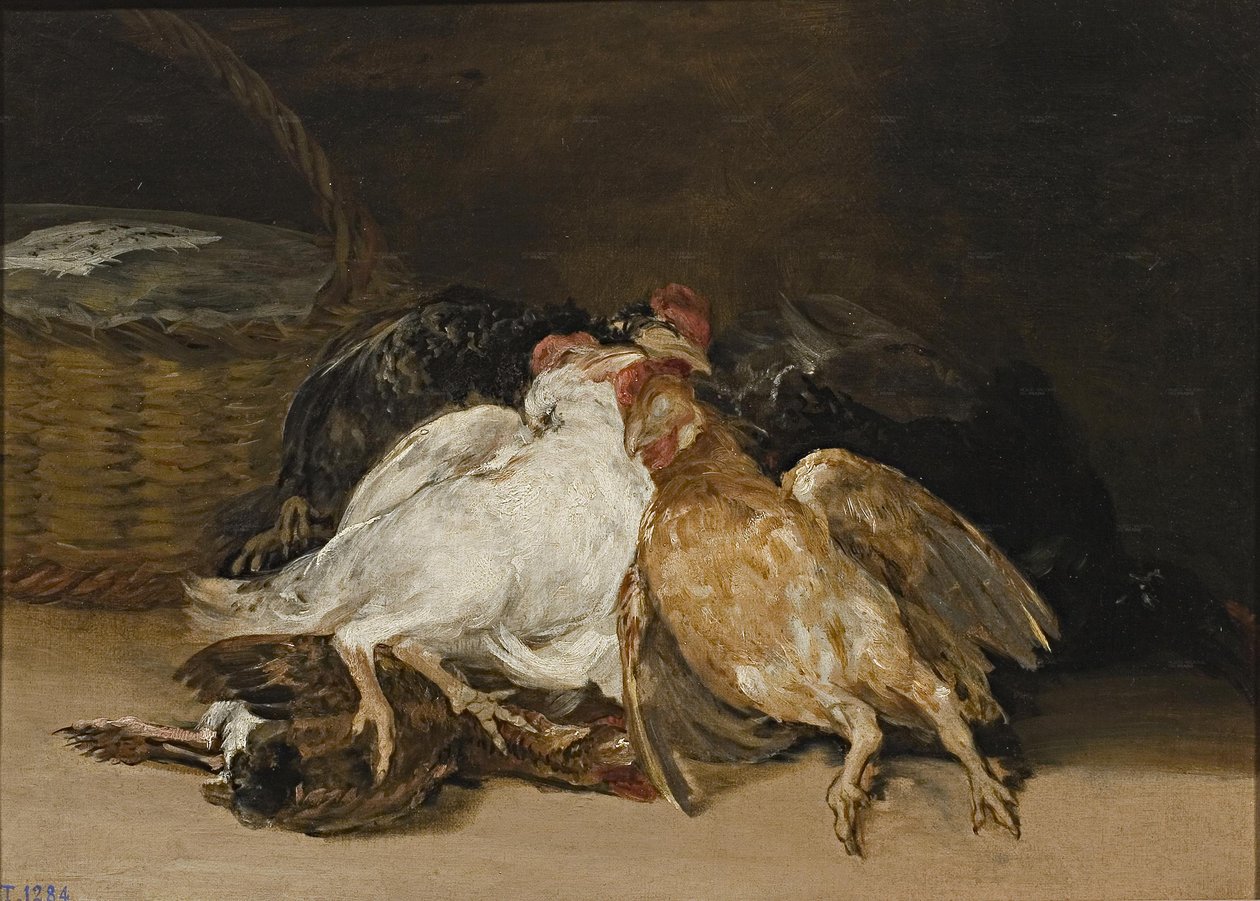 Mrtví ptáci od Francisco de Goya
