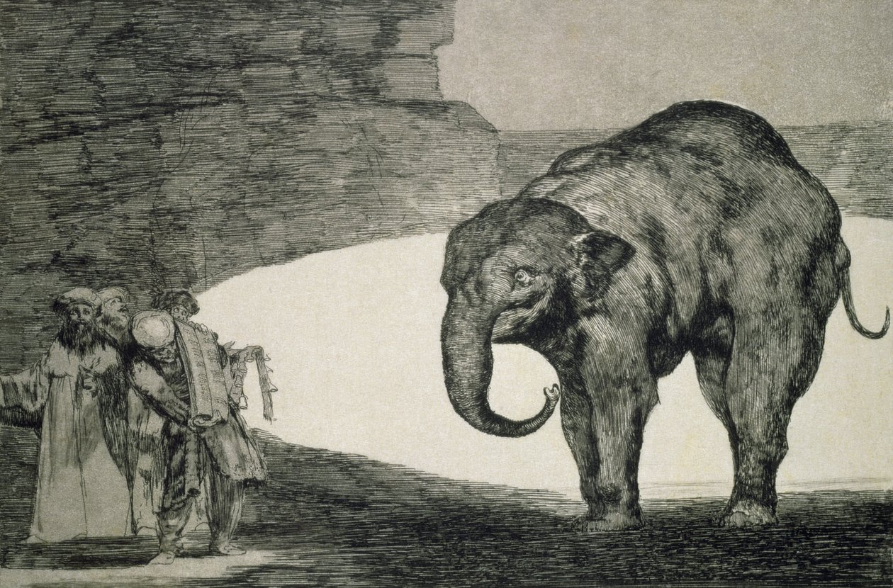 Bláznovství zvířat, z cyklu Bláznovství aneb Jiné zákony pro lid, asi 1815-24 (lept a akvatinta na japonském papíře) od Francisco de Goya