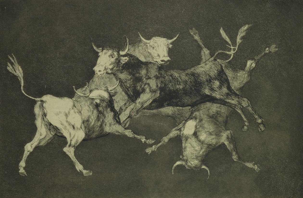 Folly of the Bulls, ze série Follies, kolem 1815-24 (lept a akvatinta na japonském papíře) od Francisco de Goya