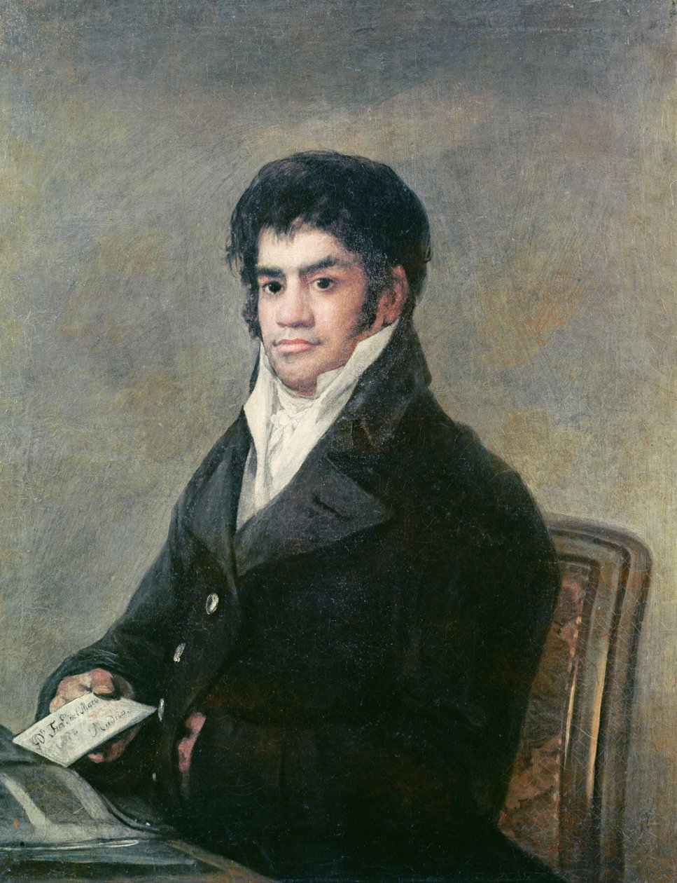 Portrét dona Francisca del Mazo, asi 1815 od Francisco de Goya