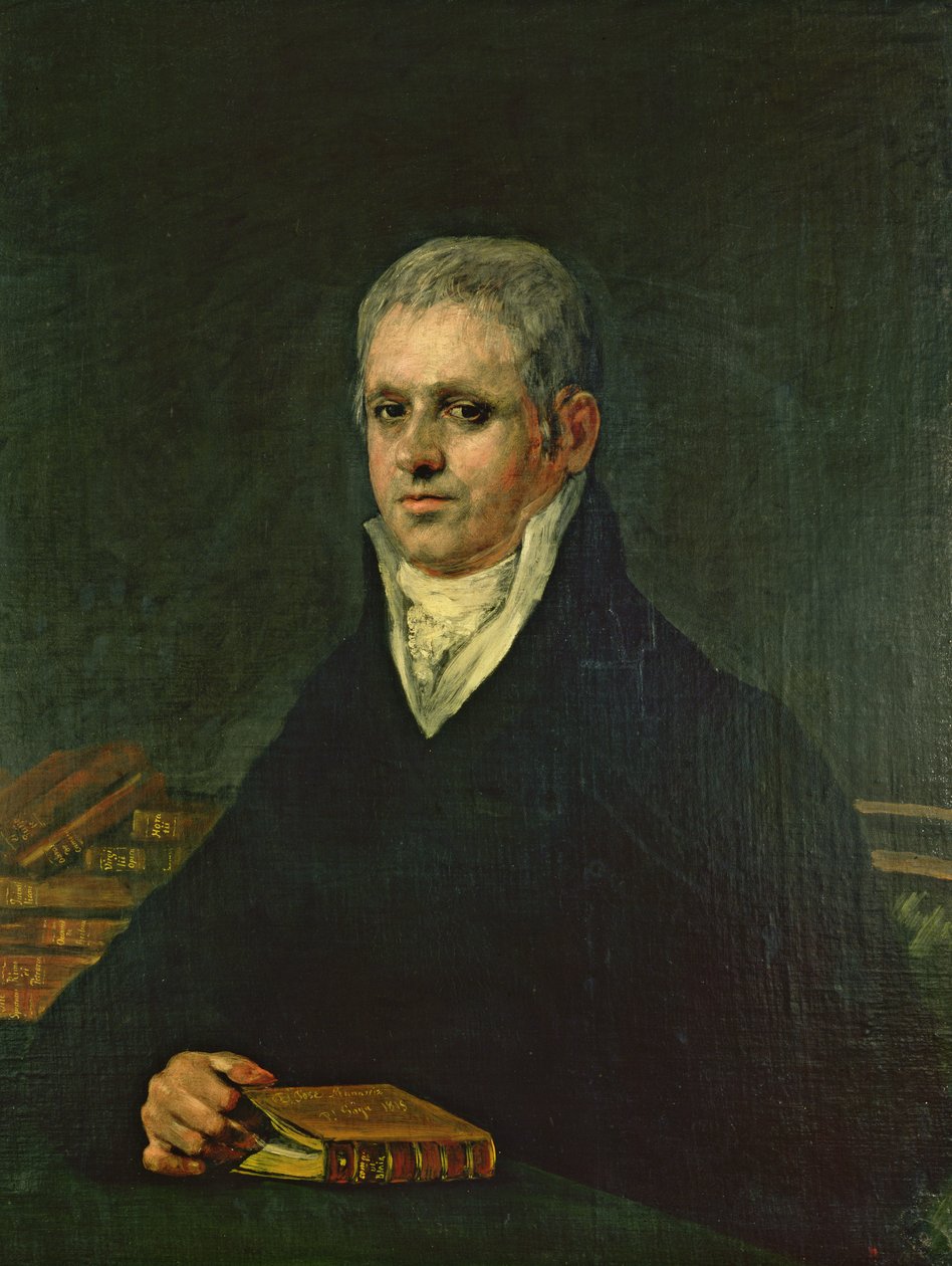 Portrét Dona Jose Munarrize, 1815 od Francisco de Goya