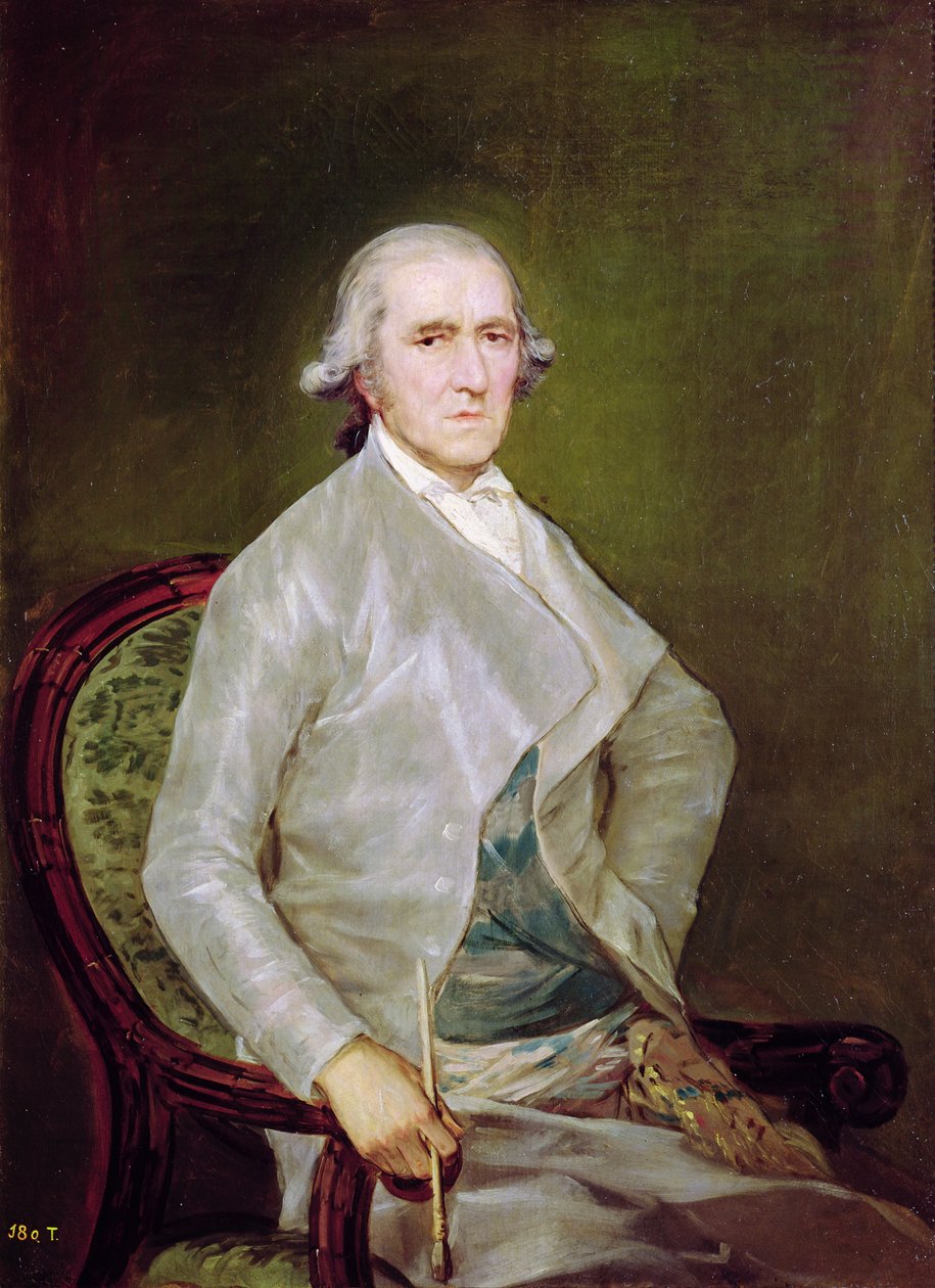 Portrét Francisca Bayeu y Subias, 1795 od Francisco de Goya