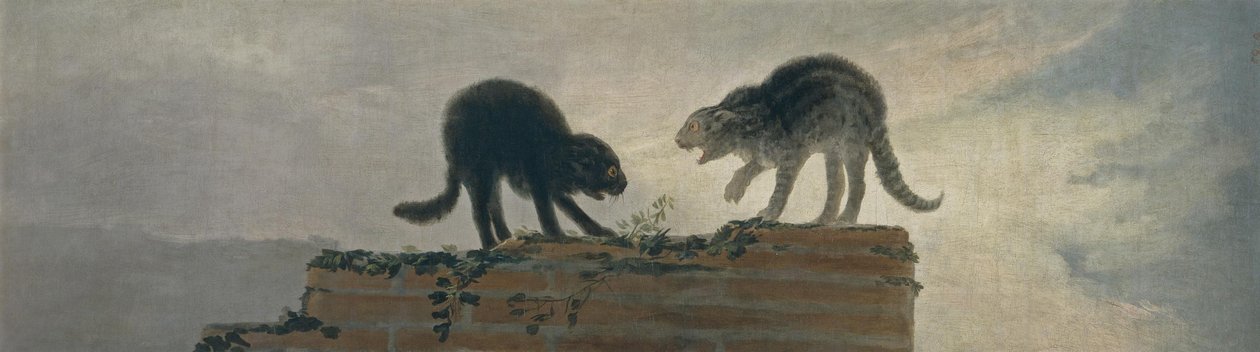 Kočičí boj od Francisco de Goya