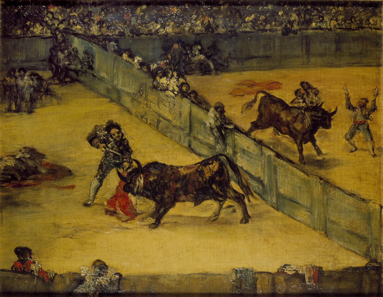 Scéna na býčím zápase: Rozdělený ring, 18. století od Francisco de Goya