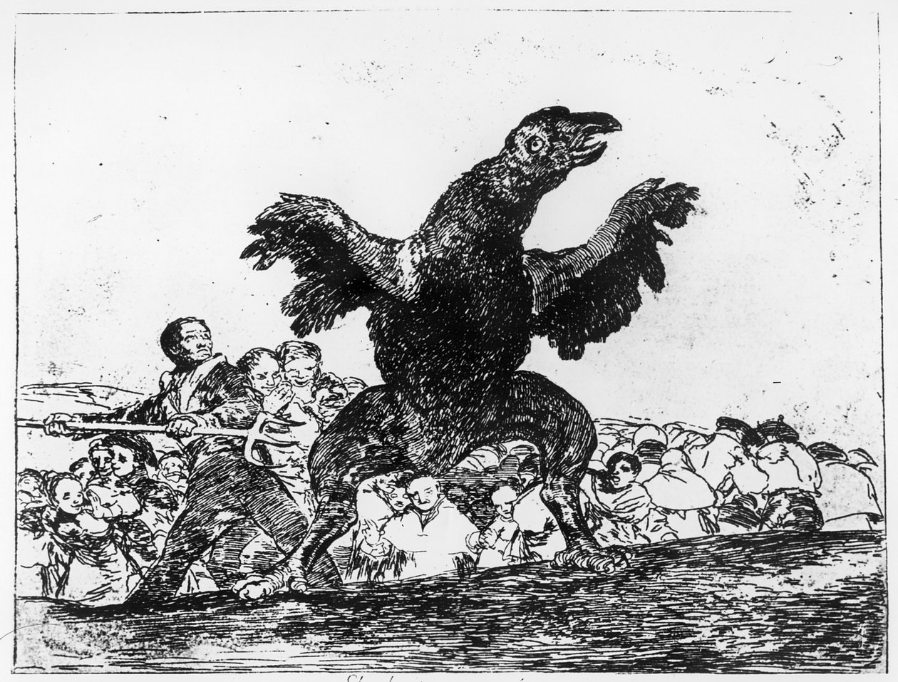 The Carnivorous Vulture, deska 76 z 