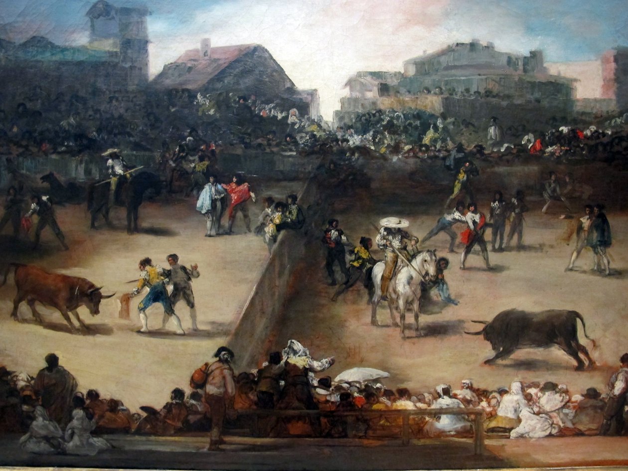 neznámý od Francisco de Goya