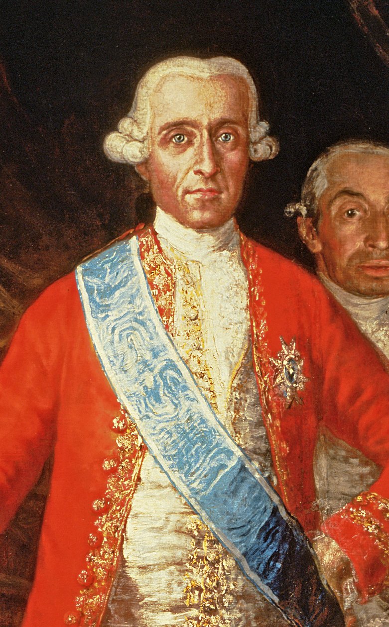 Portrét Dona Jose Monino y Redondo I, Conde de Floridablanca, 1783 detail olej na plátně z 93235 od Francisco de Goya
