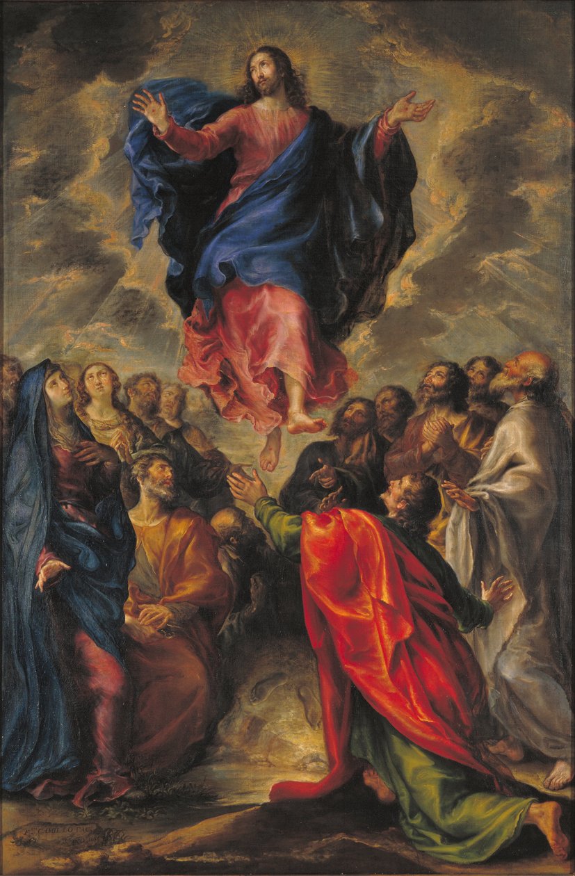 Vzestup od Francisco Camilo