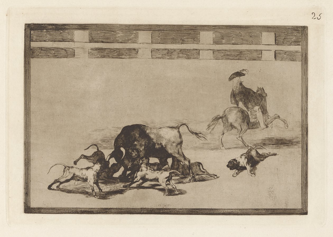 Echan perros al toro (Oni vypouštějí psy na býka), deska 25 z La tauromaquia od Francisco de Goya