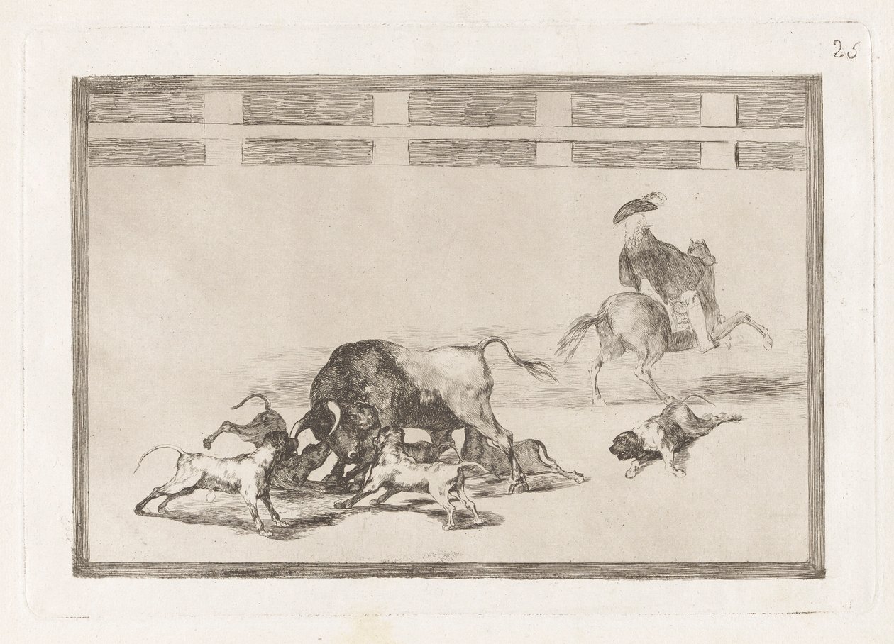 Echan perros al toro (Oni pouštějí psy na býka), deska 25 z La tauromaquia od Francisco de Goya