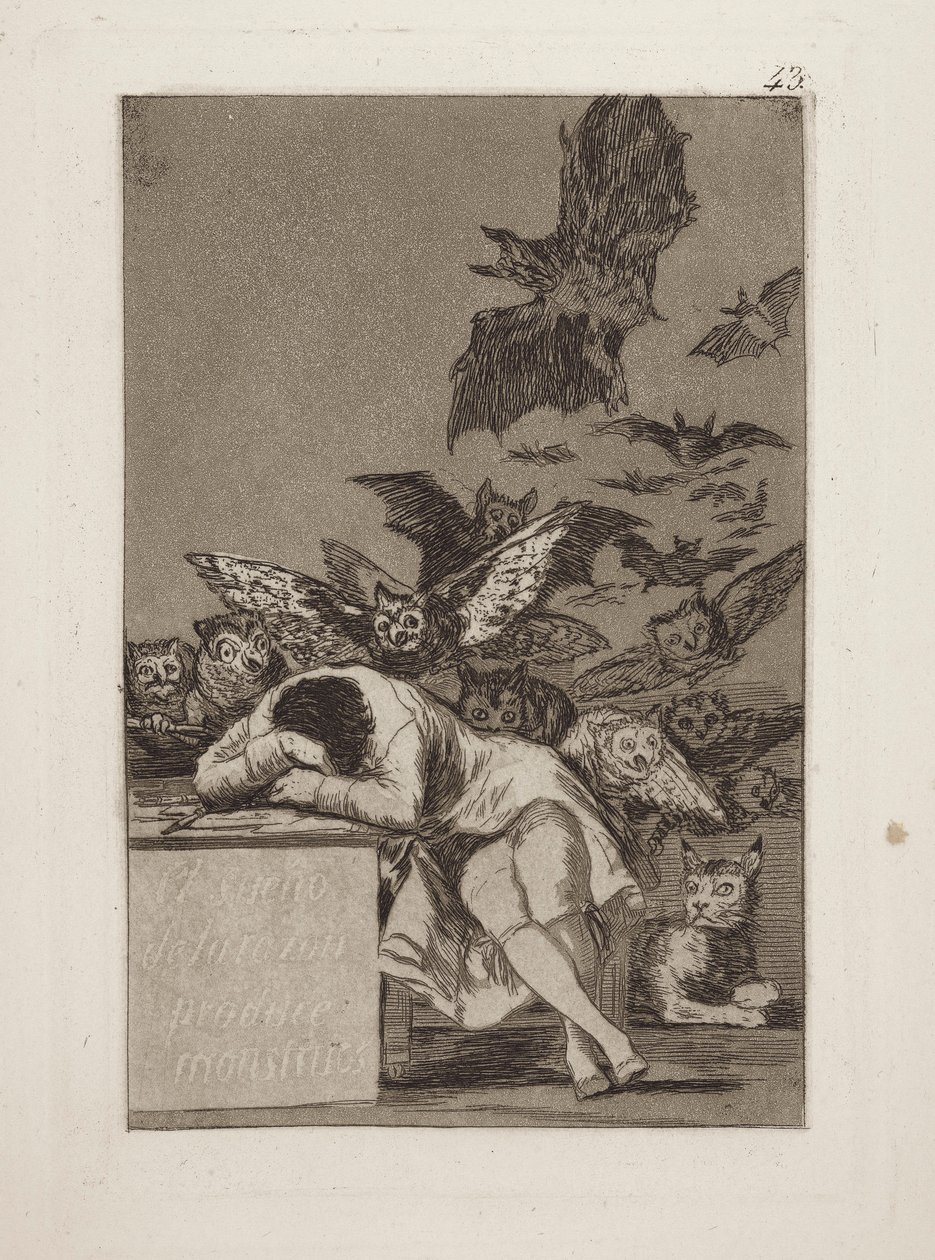 Sen o důvodu produkuje monstra. (The Sleep of Reason produkuje monstra.), pl. 43 ze série Rozmary od Francisco de Goya