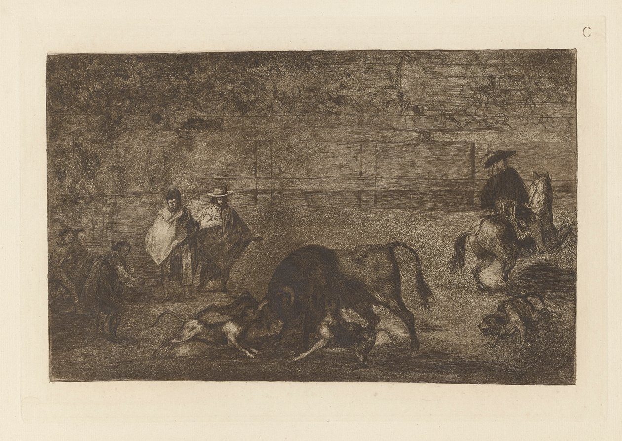 The Dogs Let Loose on the Bull, deska C z La tauromaquia (třetí vydání) od Francisco de Goya