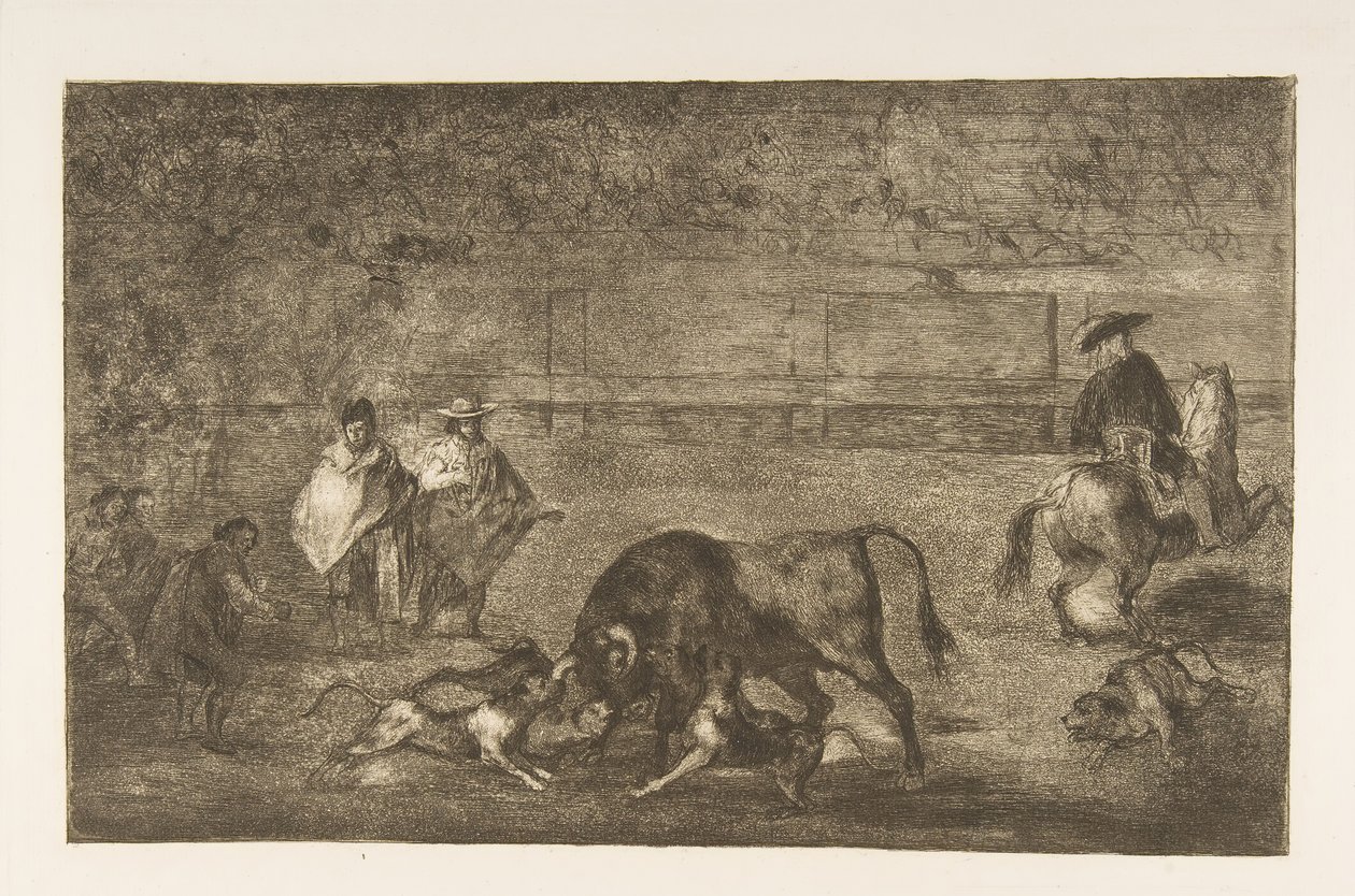 Deska C: Psi se pustili na býka, cca. 1816. od Francisco de Goya