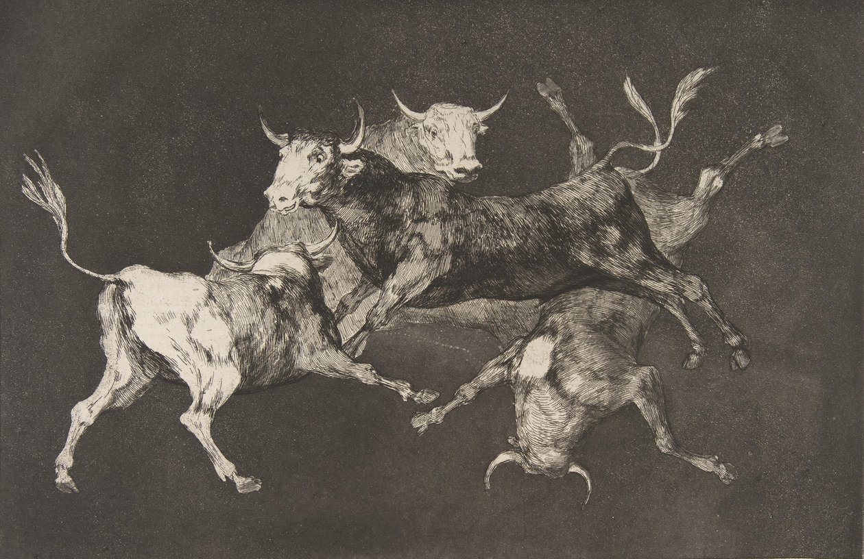 Deska D od Nesourodých: Blázni-nebo malí býci - pro..., ca. 1816-23 publikované před rokem 1877. od Francisco de Goya