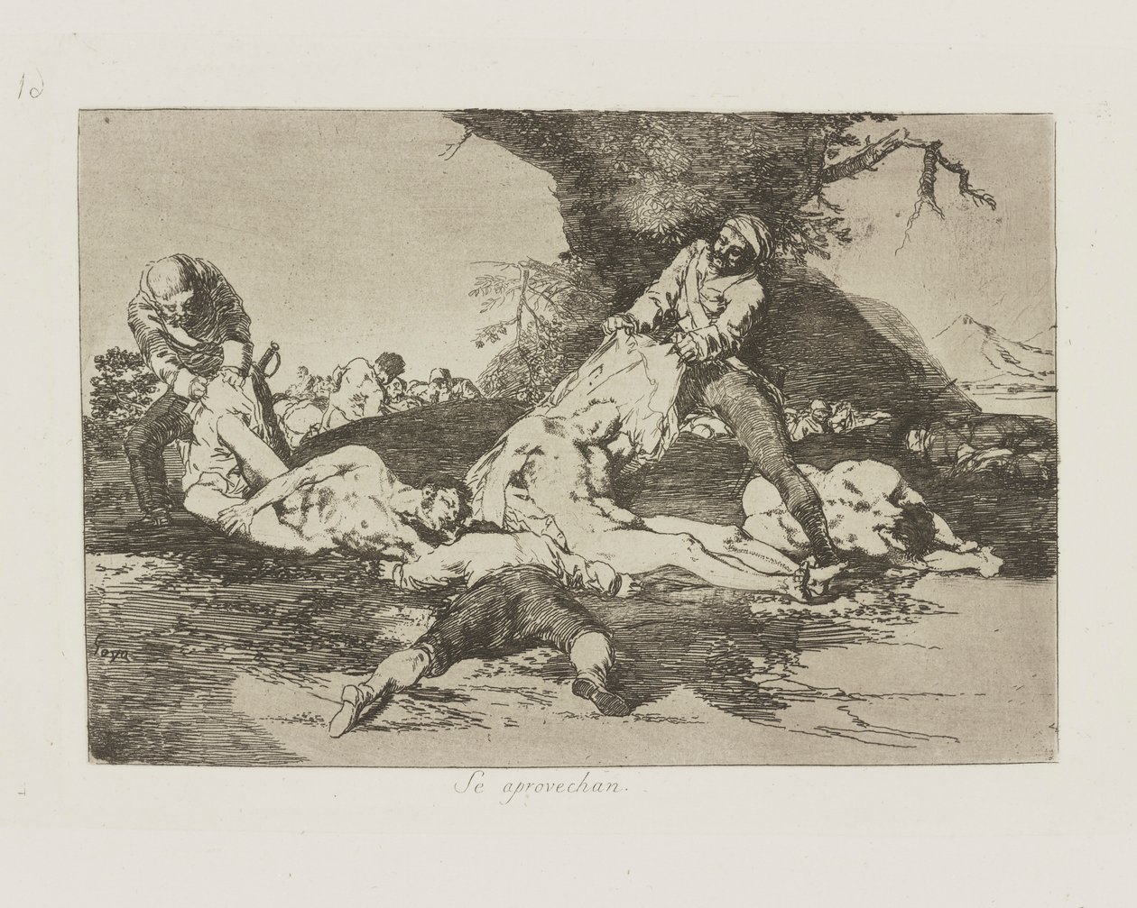 Se aprovechan. (They Make Use of them.), pl. 16 ze série Los desastres de la guerra (The Disasters of War) od Francisco de Goya