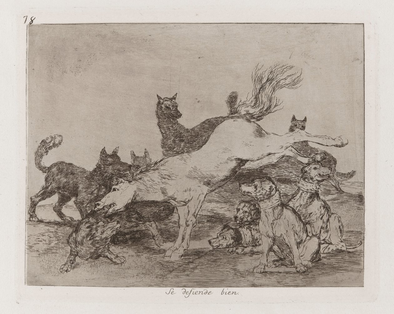 Dobře se brání, deska 78 z The Disasters of War od Francisco de Goya