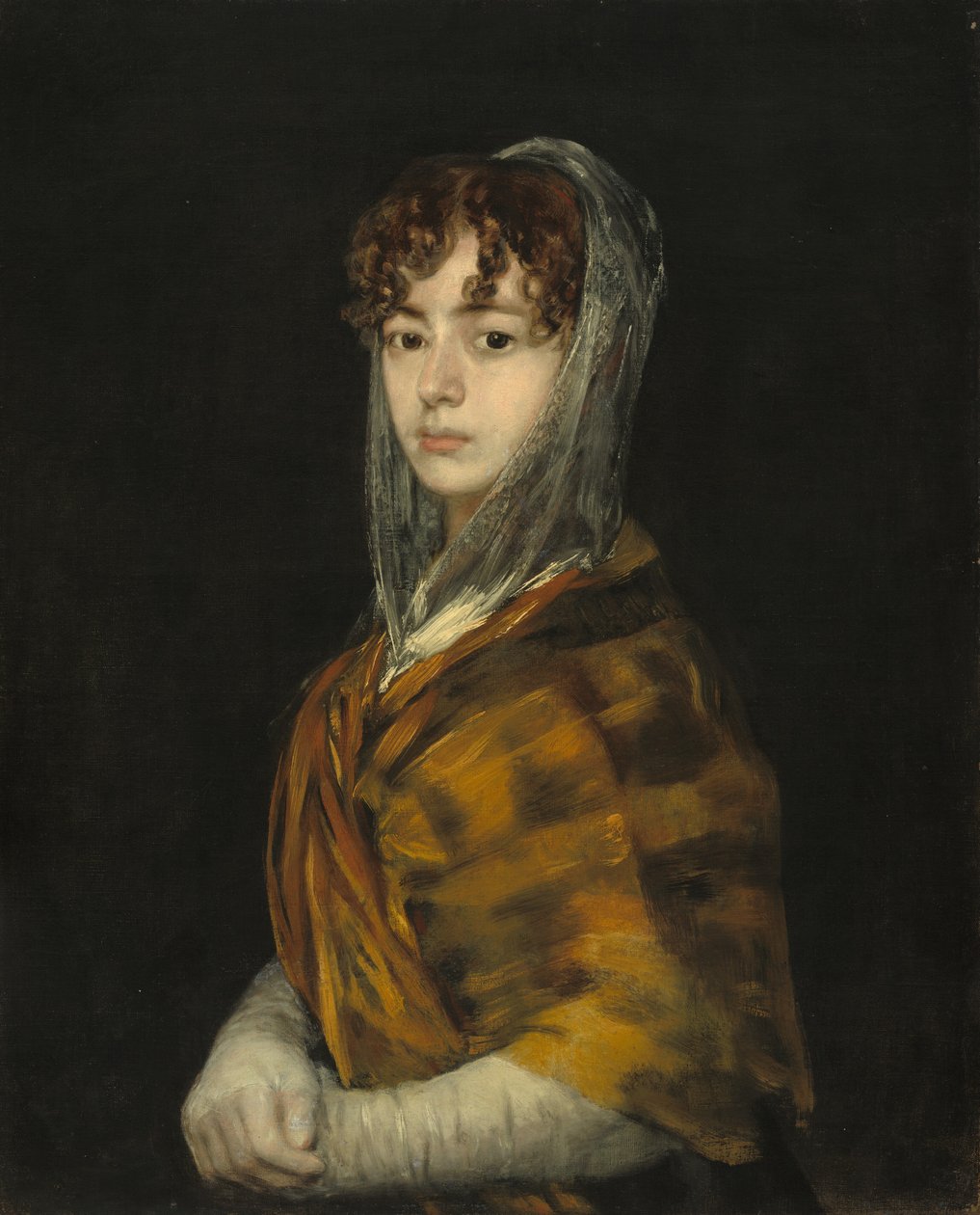 Lady Sabasa Garcia, c. 18061811. od Francisco de Goya
