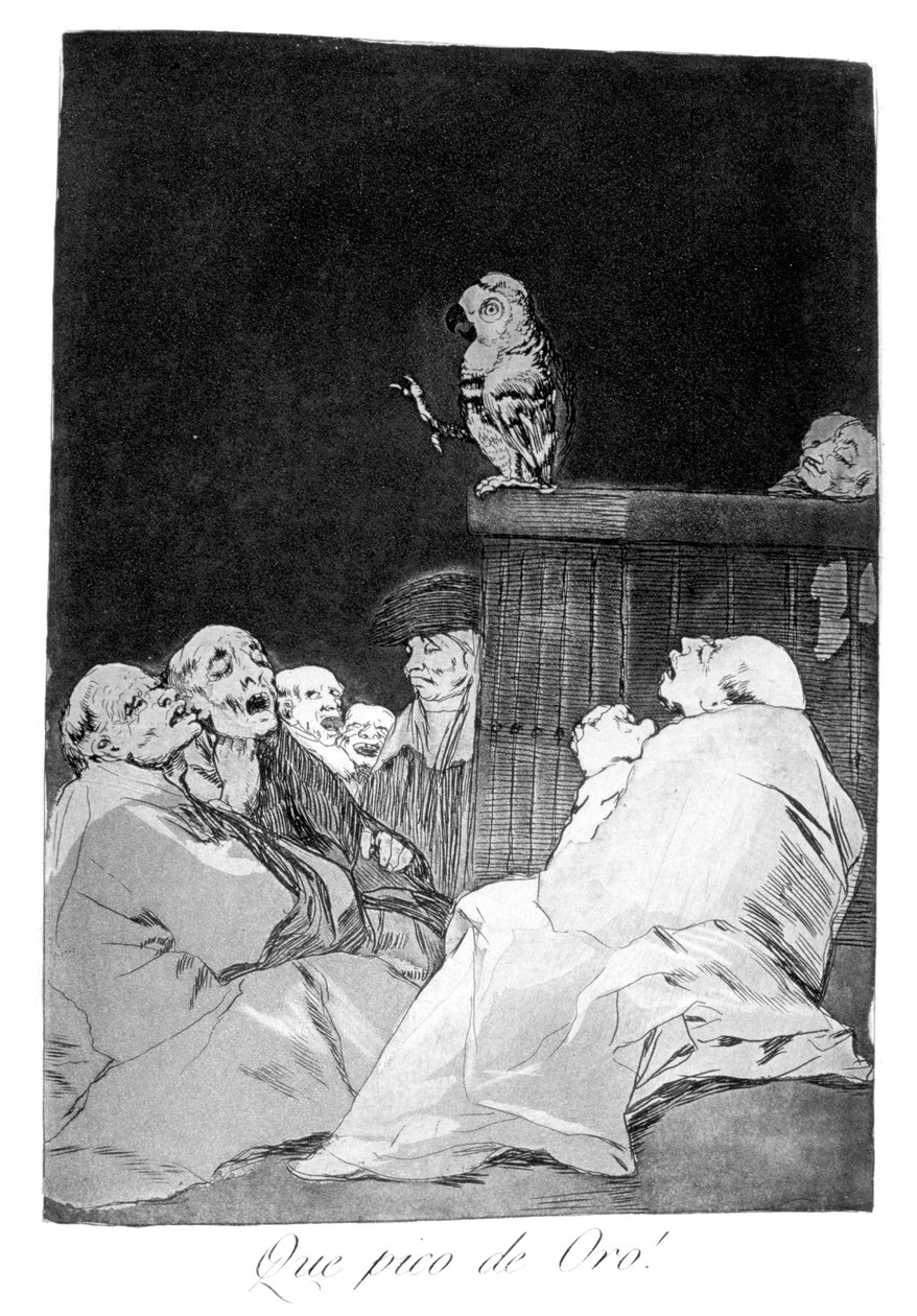 Jaký zlatý zobák!, 1799 od Francisco de Goya