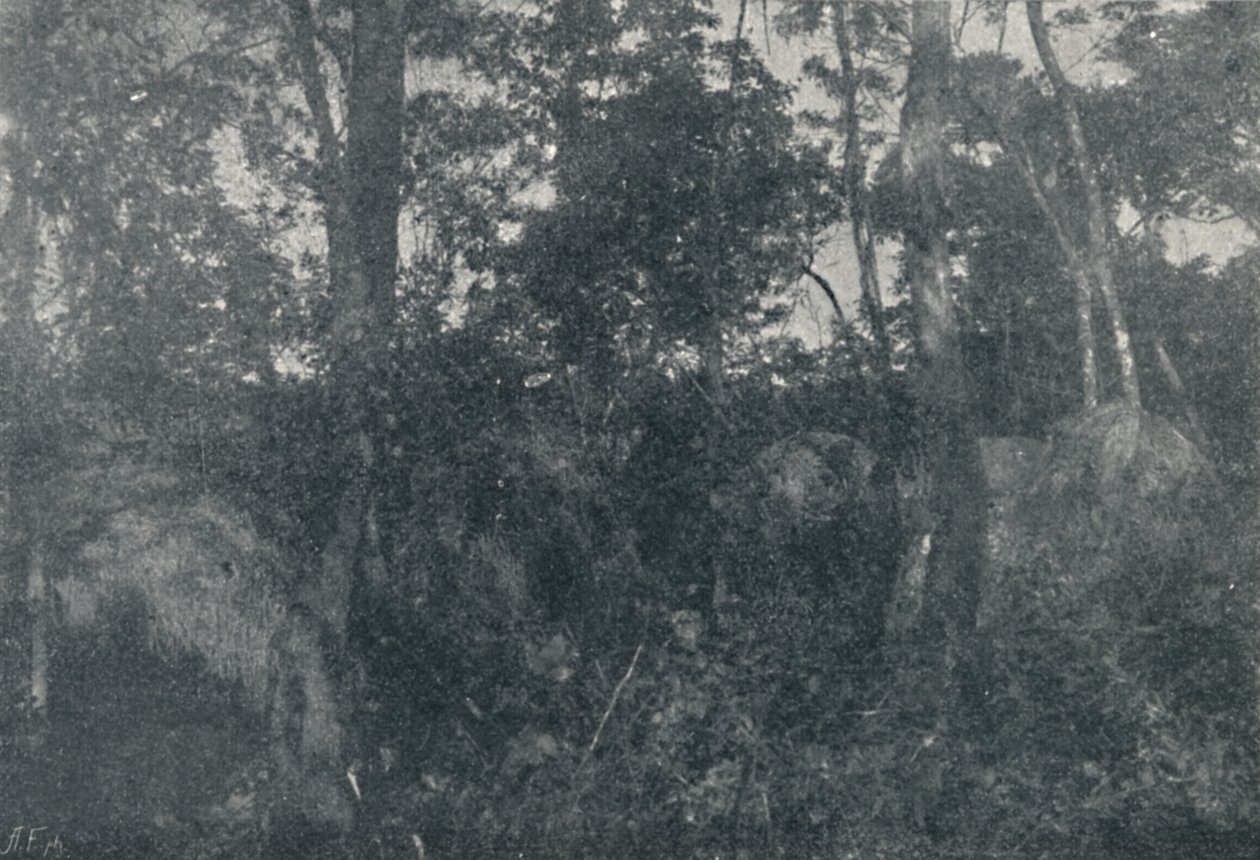 Indiánské kajuty, 1895 od Francisco Henszler