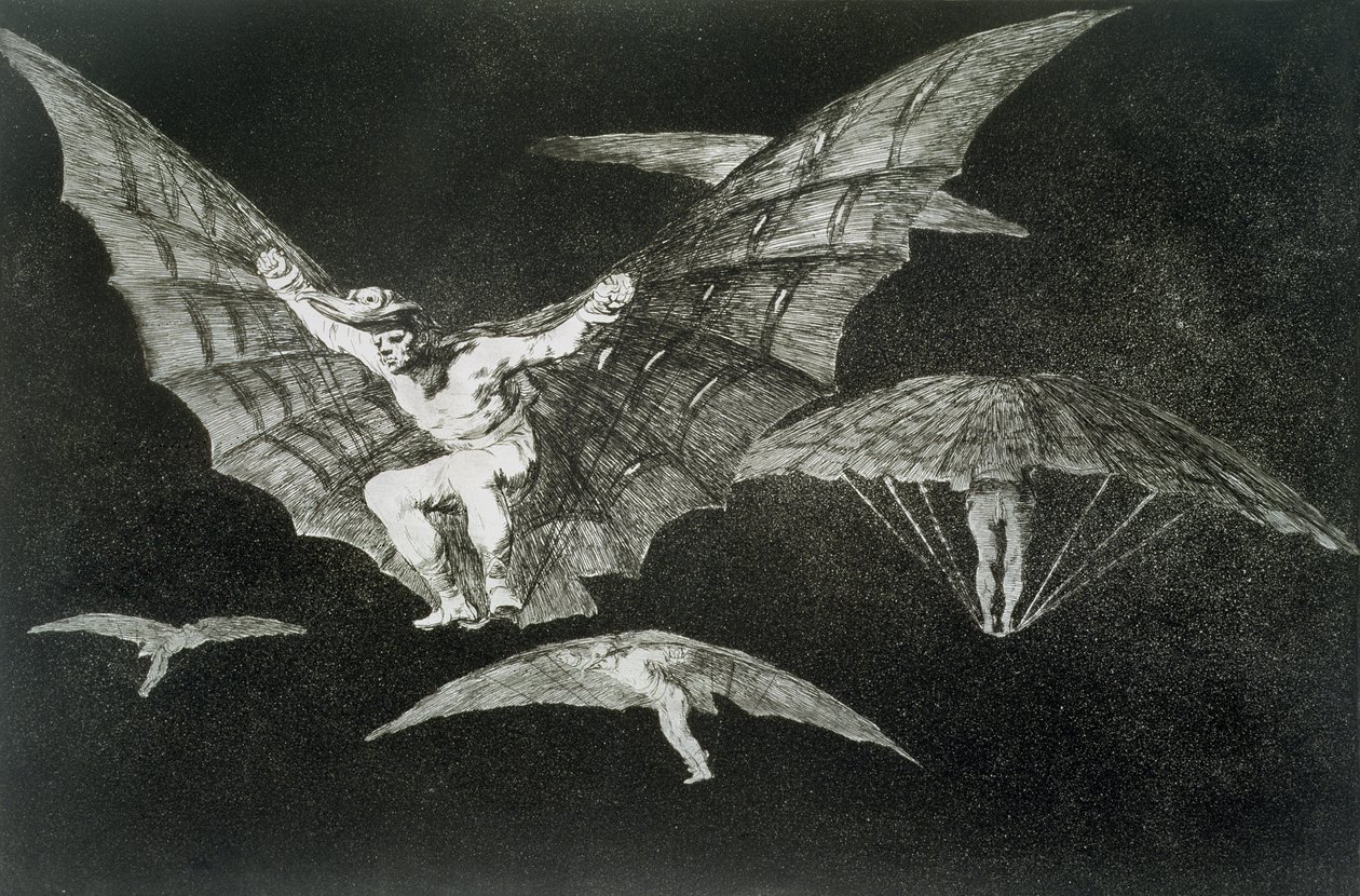 Způsob létání, deska 13 "Přísloví" od Francisco Jose de Goya y Lucientes