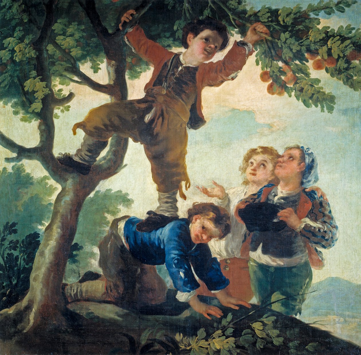 Chlapci sbírají ovoce od Francisco de Goya