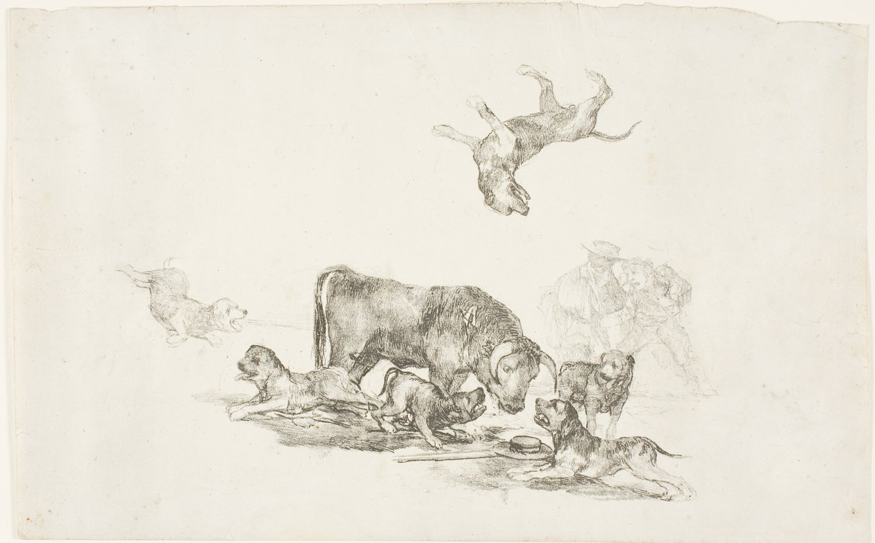 Býk napadený psy od Francisco Jose de Goya y Lucientes