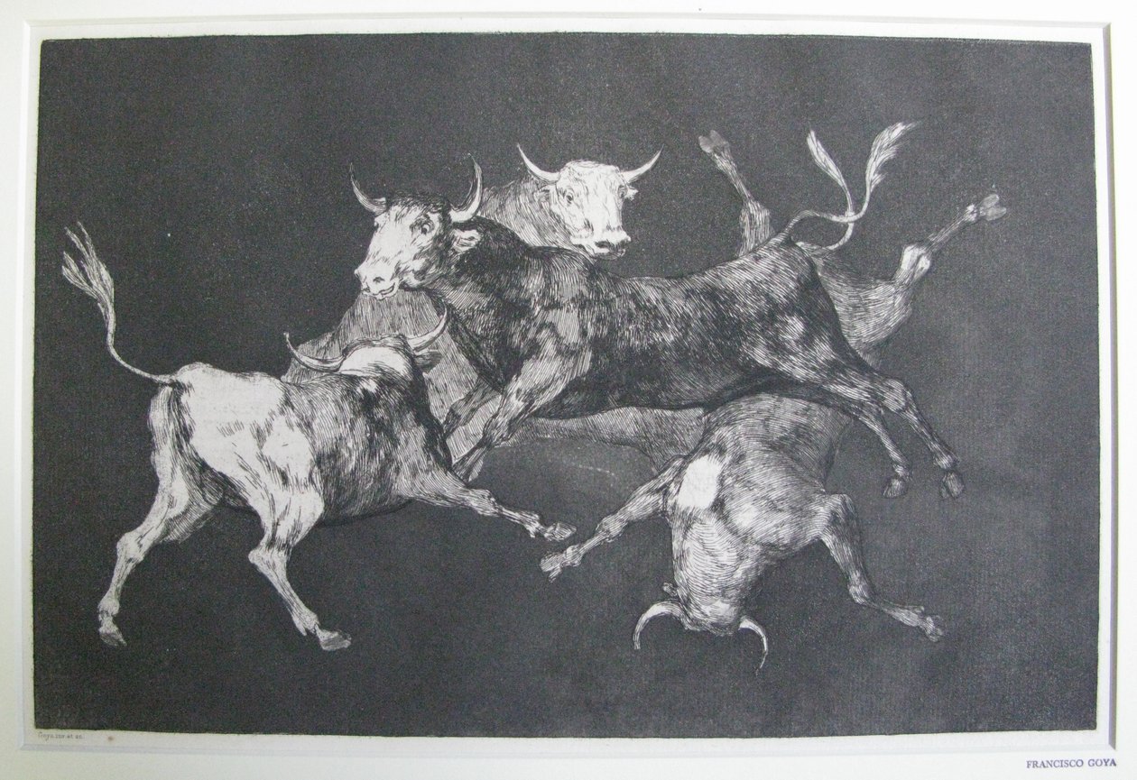 Bláznovo bláznovství od Francisco Jose de Goya y Lucientes