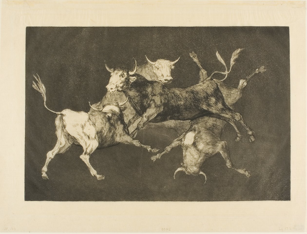 Fool’s Folly, od Disparates od Francisco Jose de Goya y Lucientes