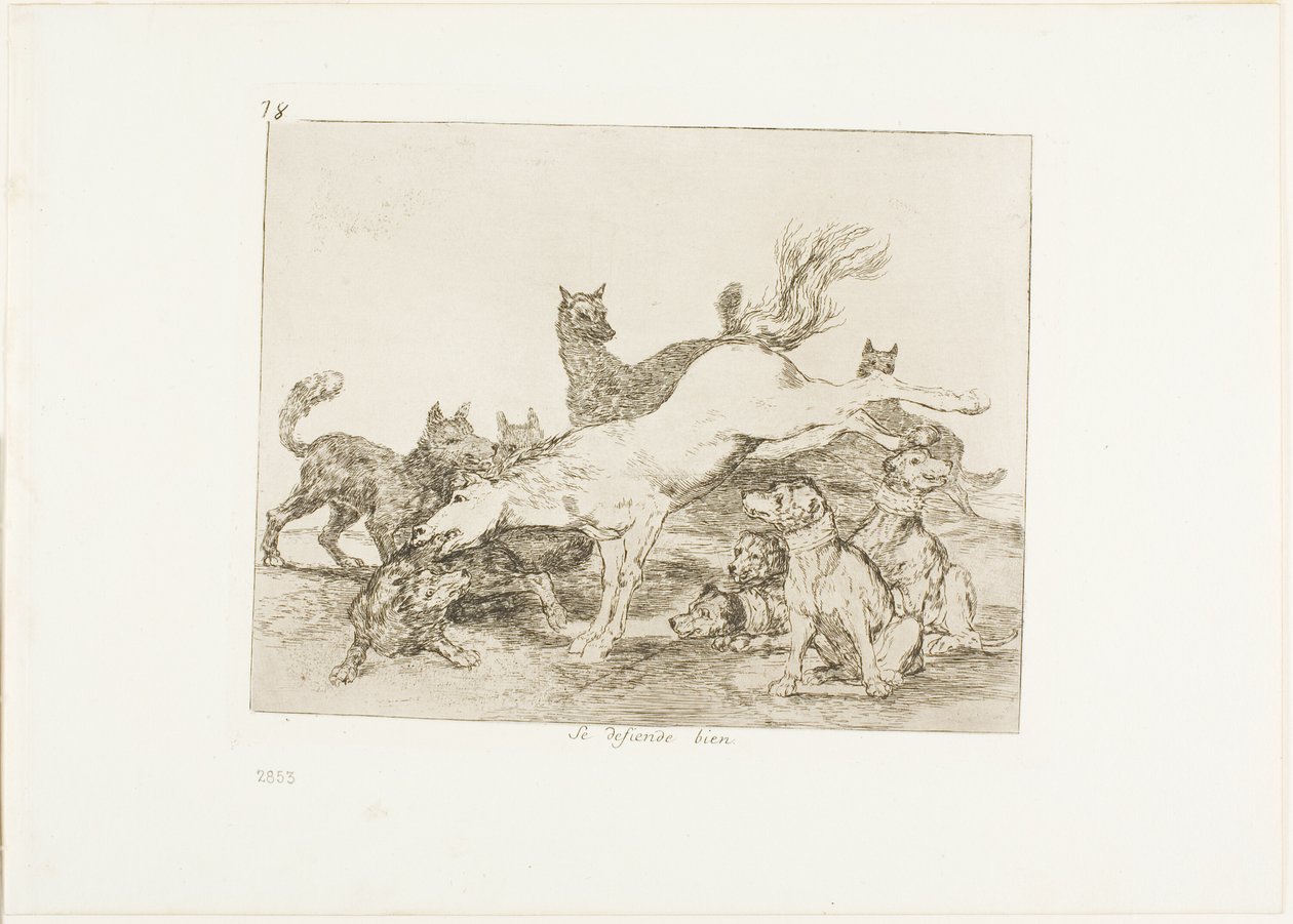 Brání se dobře, deska 78 z The Disasters of War od Francisco Jose de Goya y Lucientes