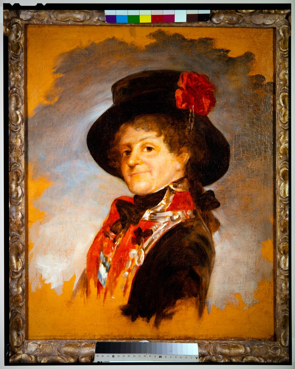 Královna Marie Luisa, asi 1799 (olej na plátně) od Francisco Jose de Goya y Lucientes