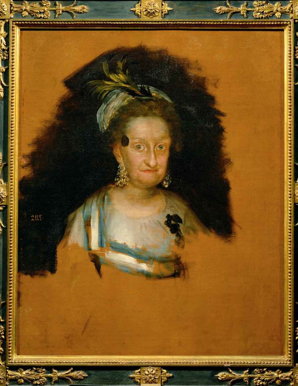 Španělská královna Marie Luisa ... (malba na plátně) od Francisco Jose de Goya y Lucientes