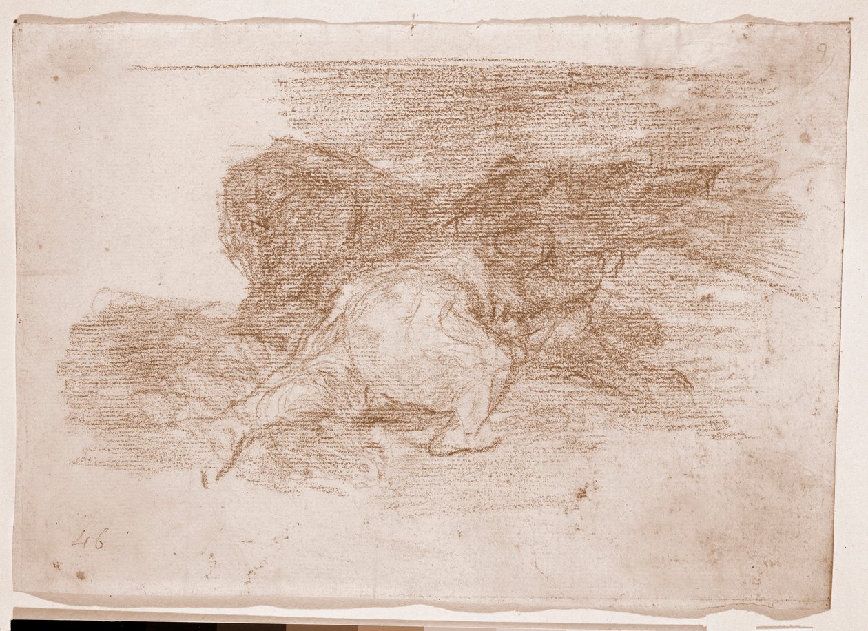 The Disasters of War : Sklízí určité výhody (přípravná kresba od Francisco de Goya