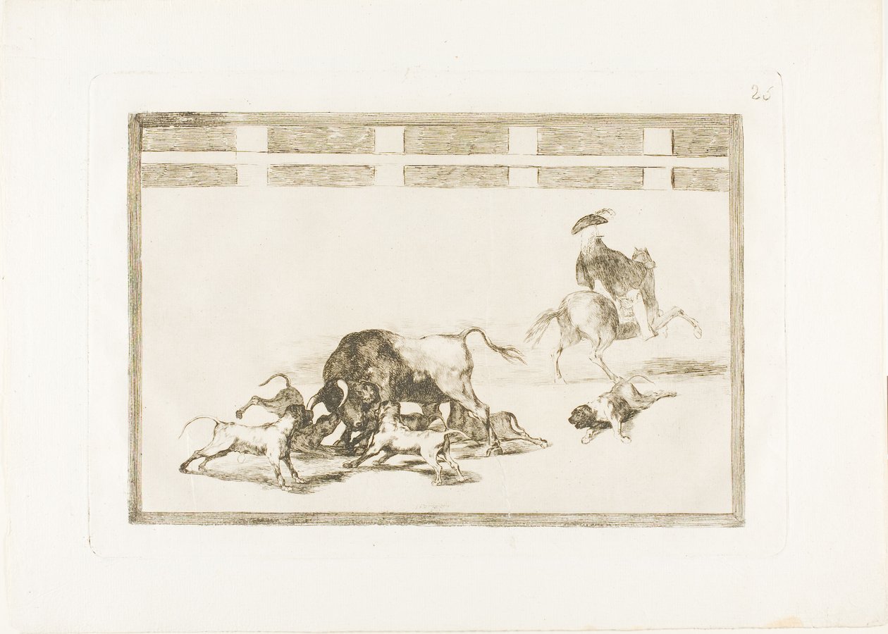 They Loose Dogs on the Bull, deska 25 z The Art of Bullfighting od Francisco Jose de Goya y Lucientes