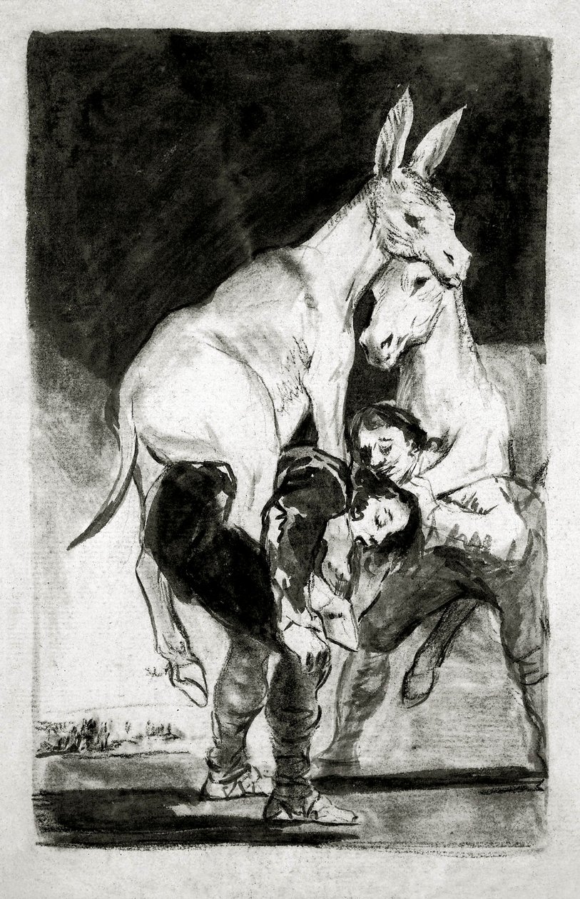 Ty, který nemůžeš, ne od Francisco de Goya