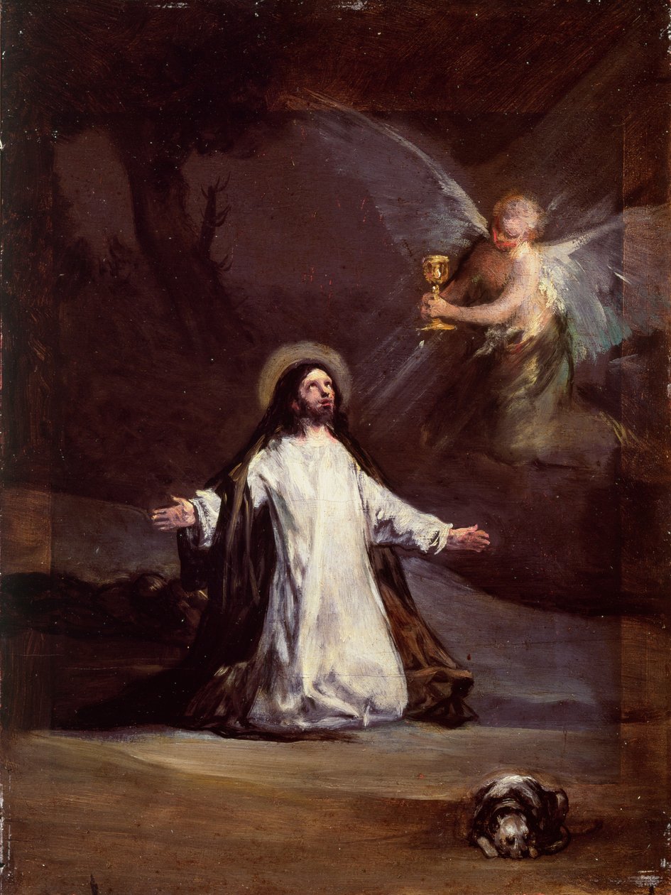Neznámý obrázek od Francisco de Goya