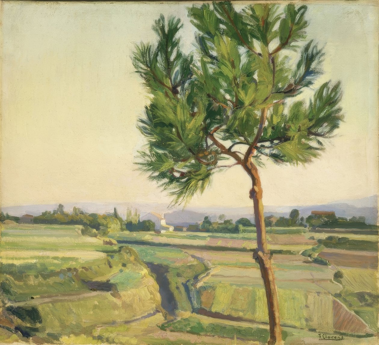 STROM (MERA) –1931–45X50,5– od Francisco Llorens Diaz