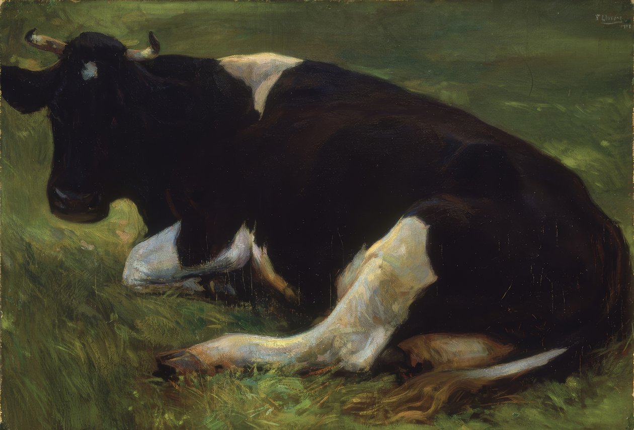 VACA – 1908 – 64X95 cm od Francisco Llorens Diaz
