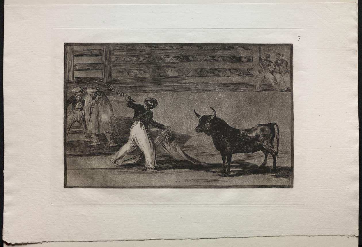 Býčí zápasy: Původ harpun nebo vlajek od Francisco de Goya