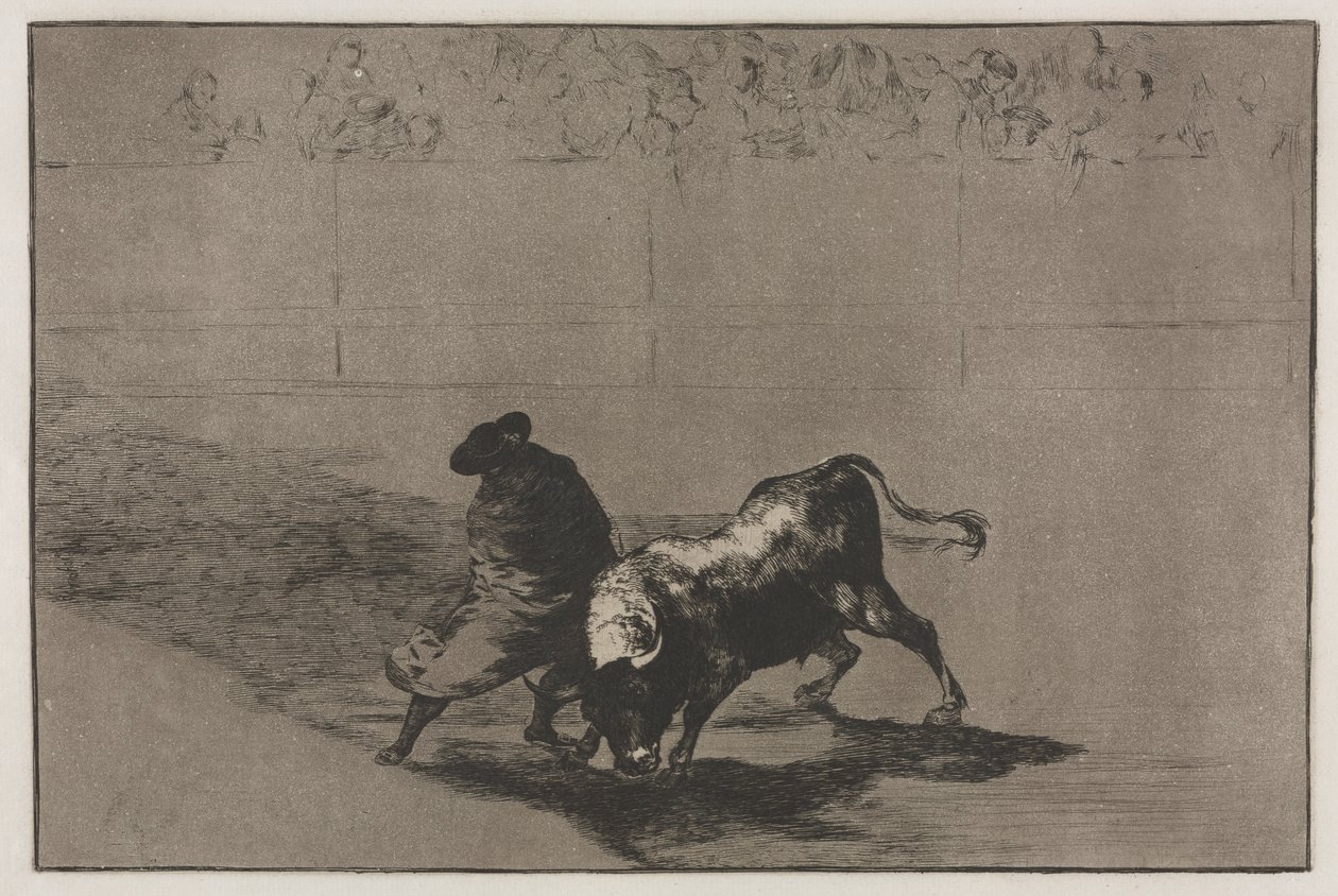 Býčí zápasy: Velmi šikovný student Falces, zabalený do pláště, oklame býka hrou svého těla od Francisco de Goya