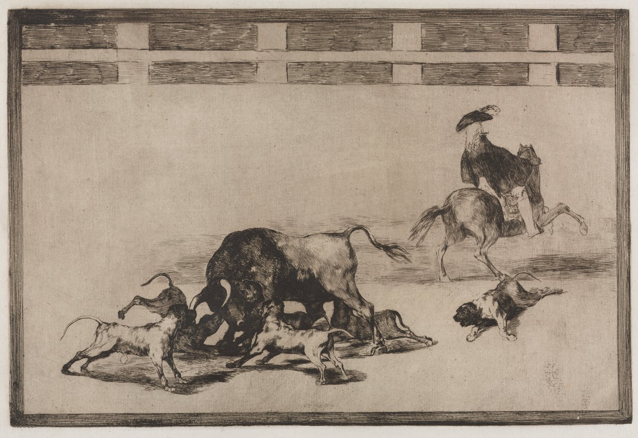 Býčí zápasy: Loose Dogs on the Bull, 1876. od Francisco de Goya