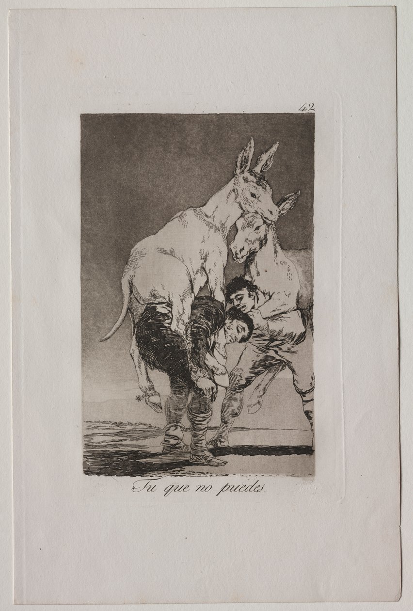 Caprichos: Ty, který nemůžeš od Francisco de Goya
