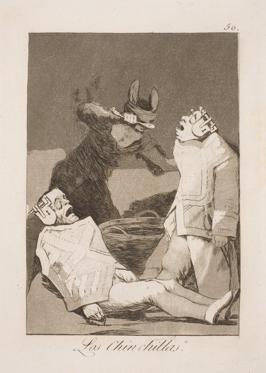Chinchillarotter od Francisco de Goya