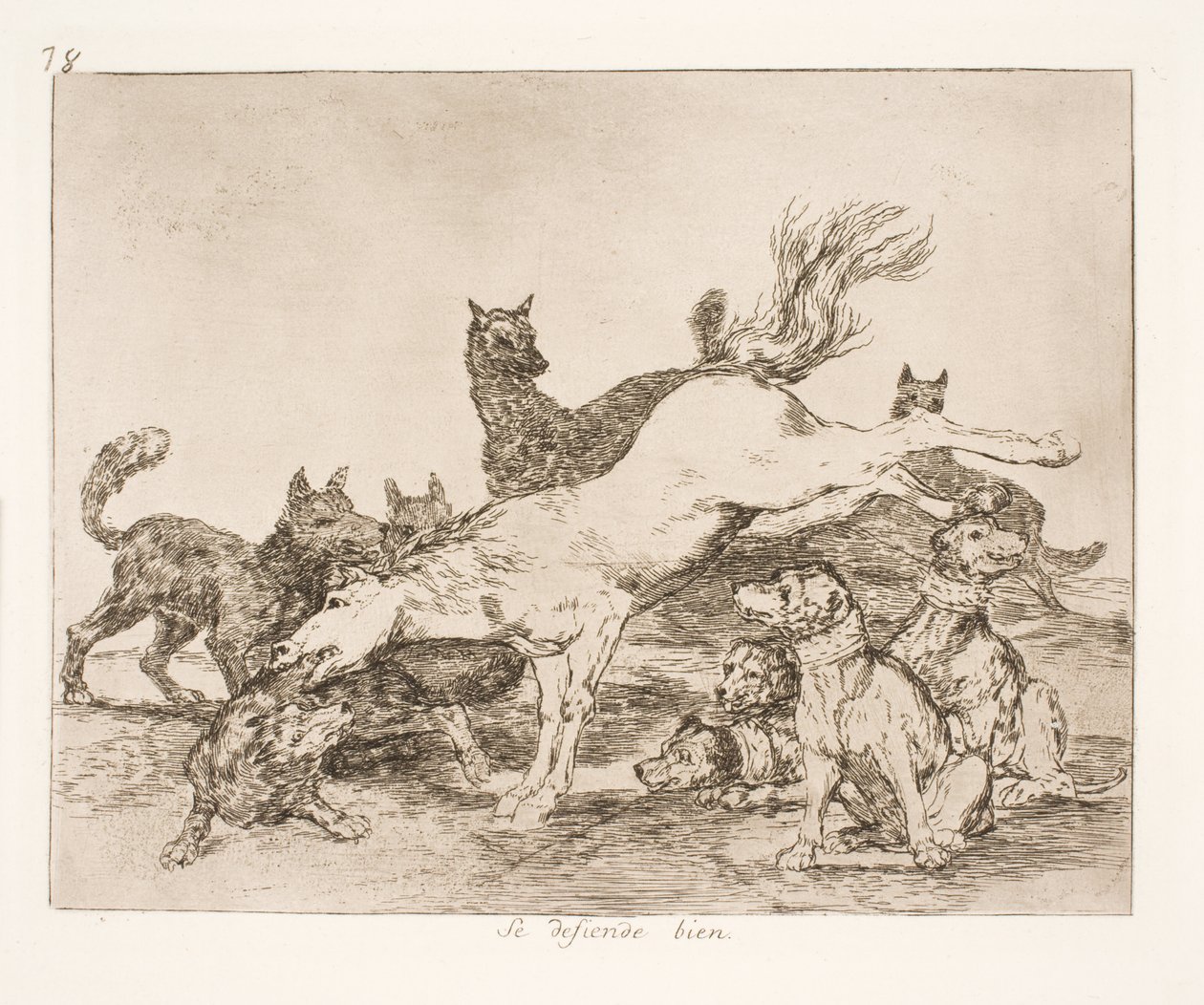 Dobře se brání (78) od Francisco de Goya