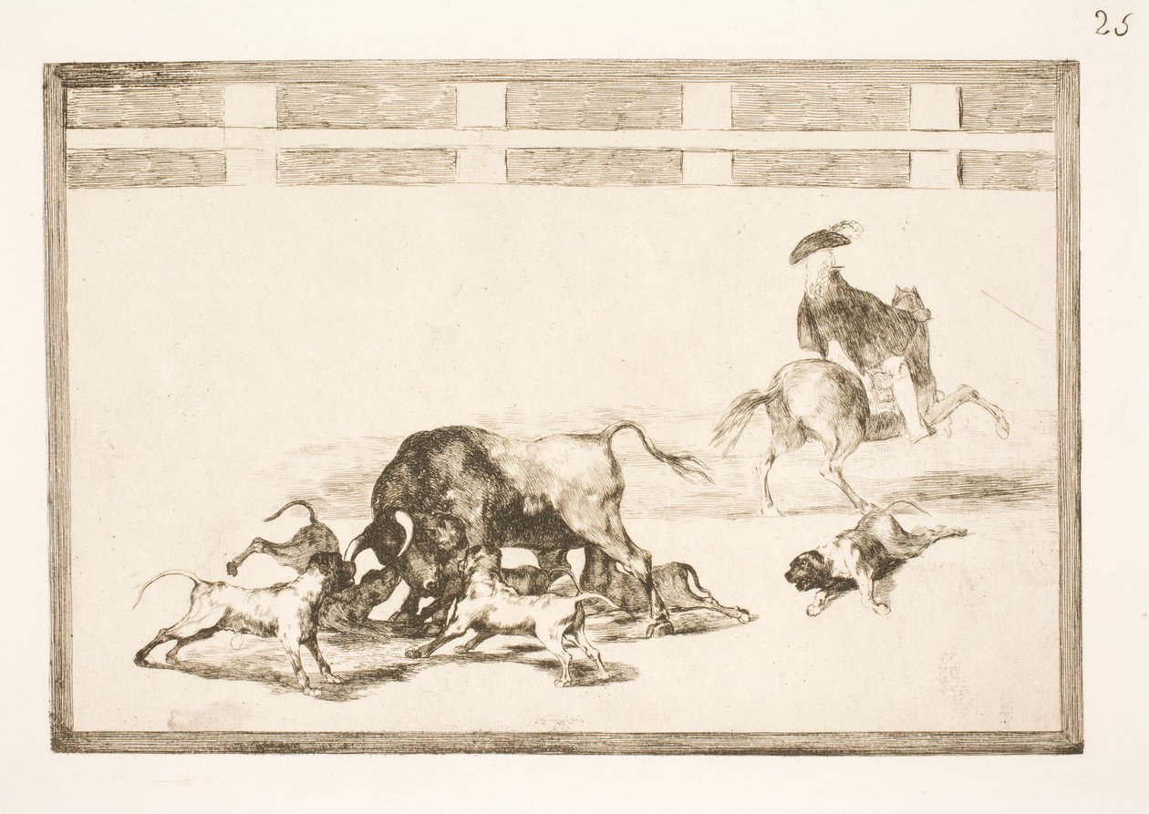 Leští psy na býka od Francisco de Goya