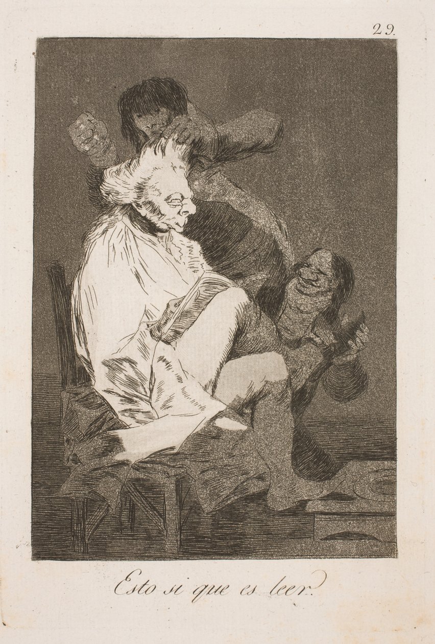 Tomu se říká čtení od Francisco de Goya